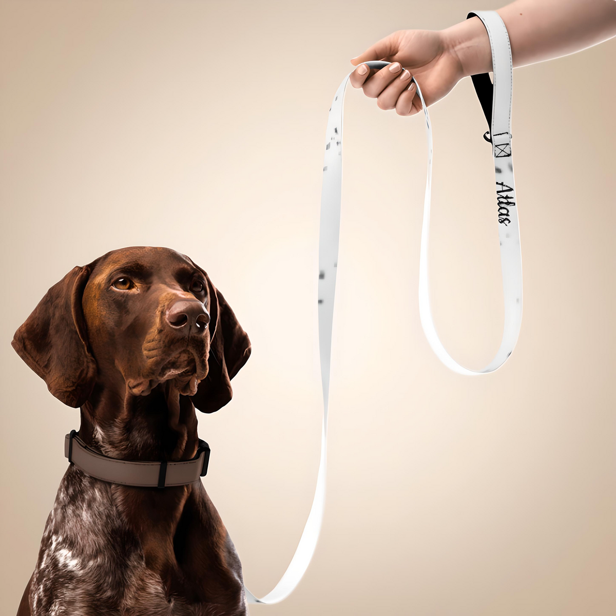 Customizable pet leash