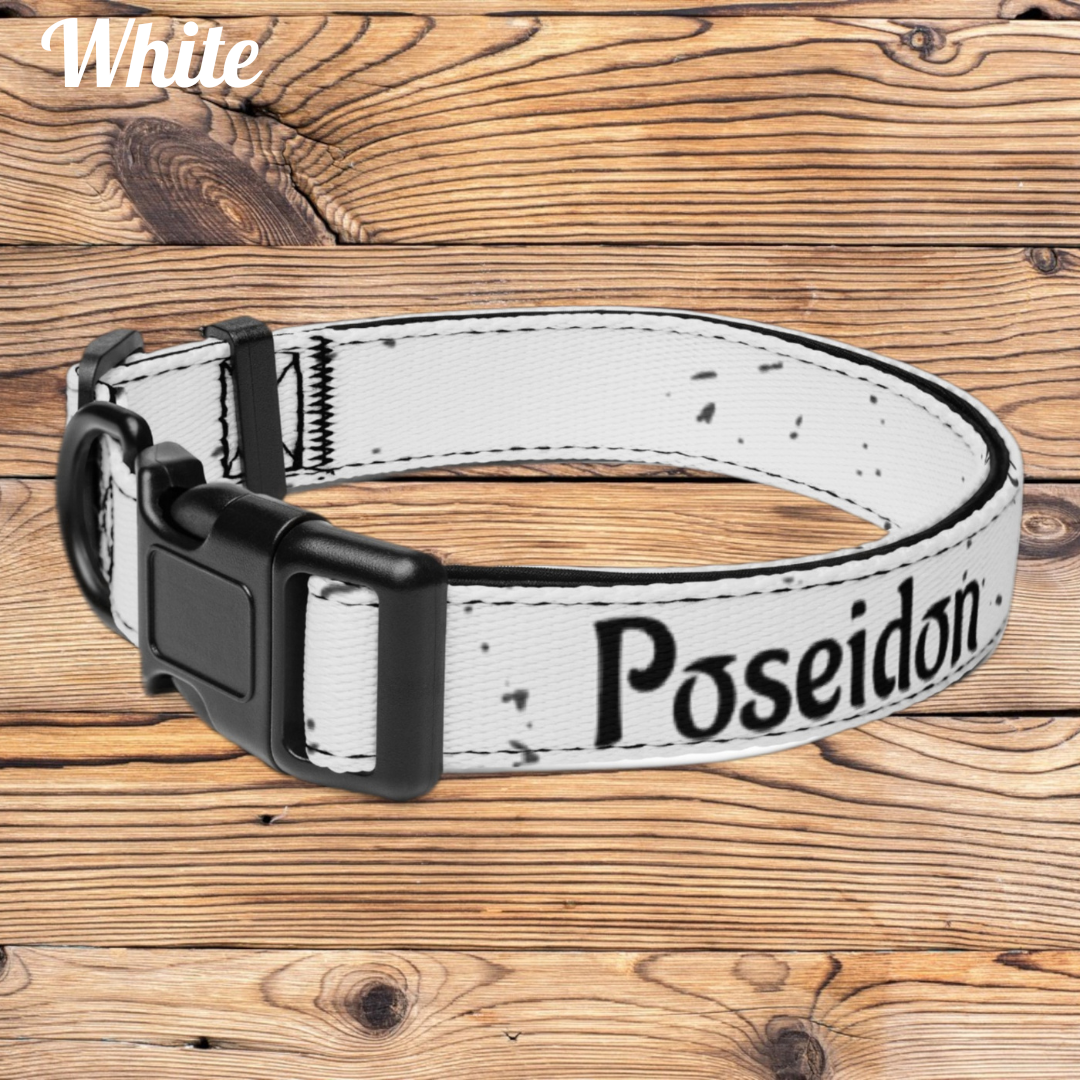 Customizable Pet collar