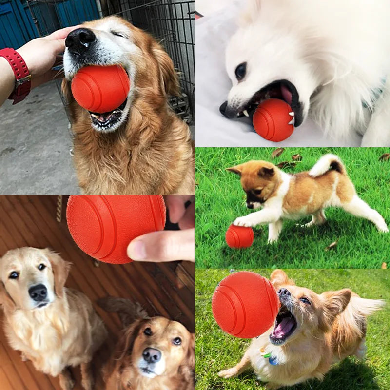 HOOPET resistant ball