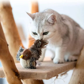 Oiseau interactif avec son