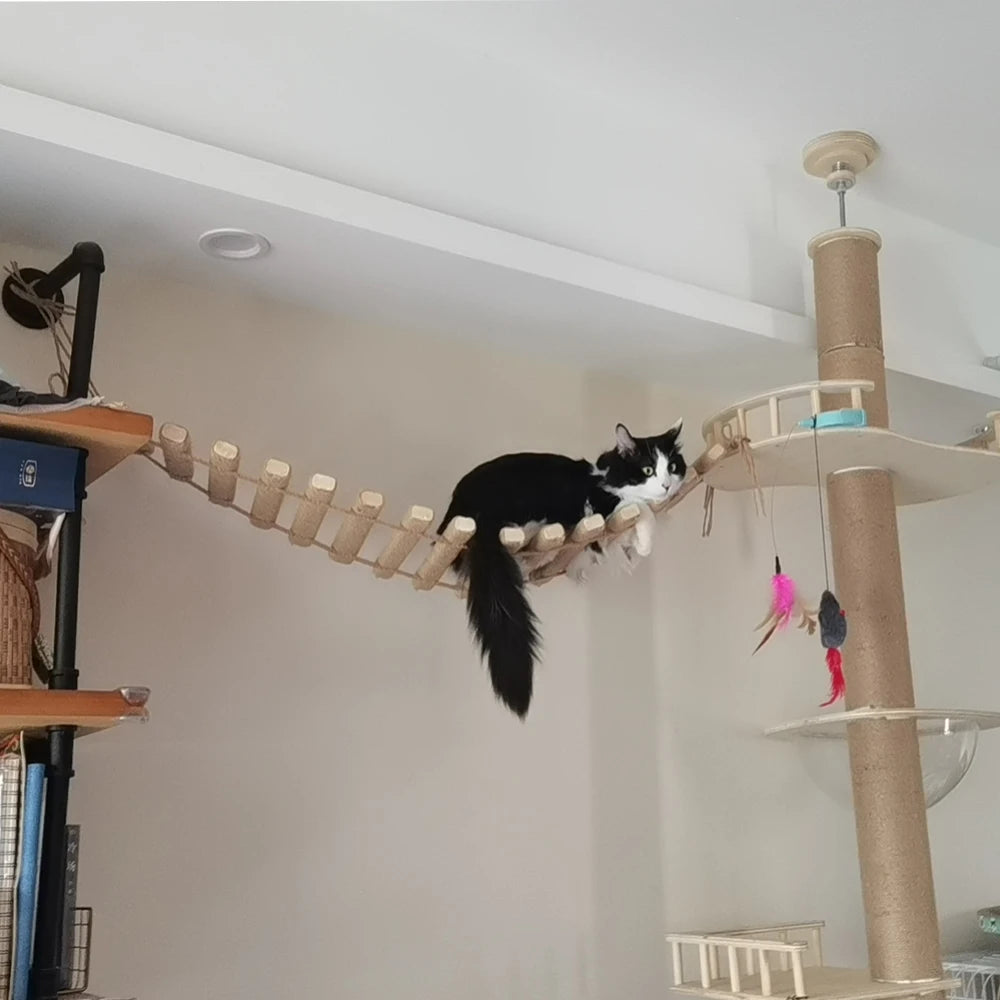 Cat wall shelf