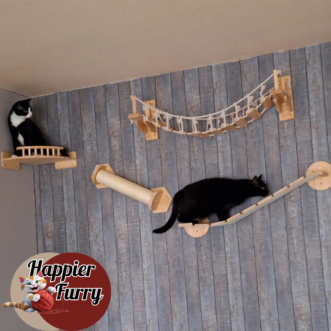 Cat wall shelf